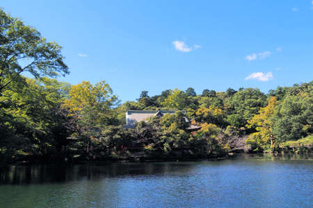 Scenery of a park with a pondの写真素材