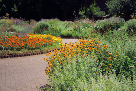 Scenery of flower bed in the parkの写真素材