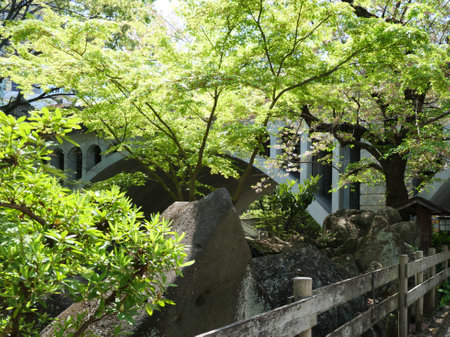 Japanese garden with stone bridge and green trees in the city park.の写真素材