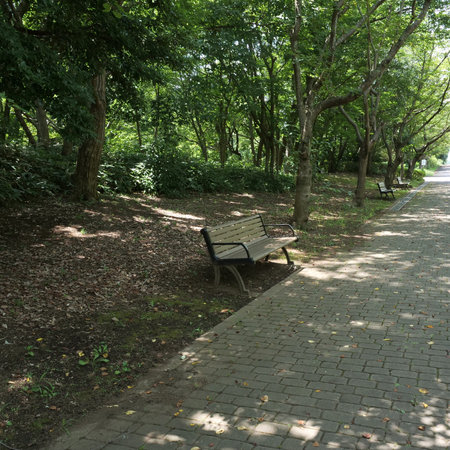 Benches and promenades in the parkの写真素材
