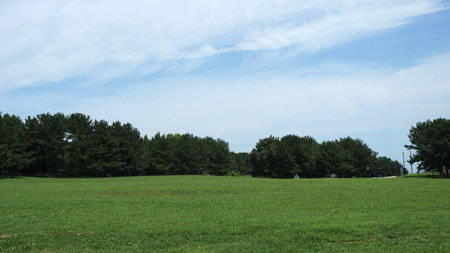 Park square paved with lawnの写真素材