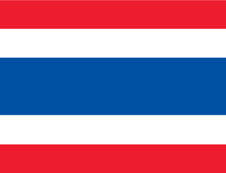 Thailand flag icon.のイラスト素材