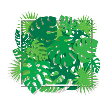 tropical leafs template background vector illustrationのイラスト素材