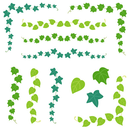 Set of ivy branchのイラスト素材