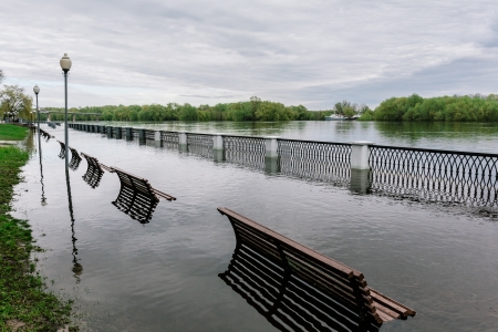 Flood waters in spring park. Seasonal disasterの写真素材