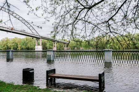 Flood waters in spring park. Seasonal disasterの写真素材