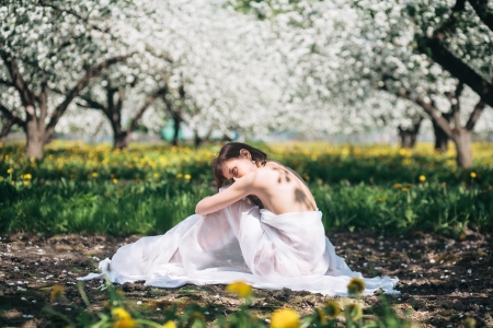 Sensual portrait of young attractive girl in blooming apple gardenの写真素材