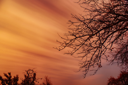 Autumn landscape. Gold season. Sunset. Shot with long exposureの写真素材