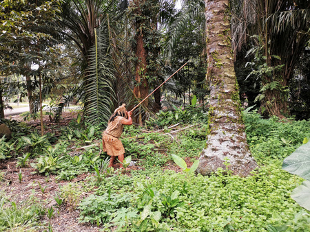 Indigenous man blowing blowgunの写真素材