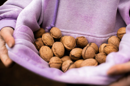 Female hold walnuts on a hoodie. Harvest concept