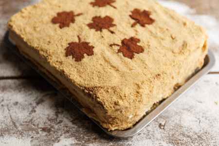 Homemade honey cake medovik with sour cream. top viewの写真素材