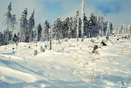 winter mountains - on Malinowska Skala hill in Beskid Slaskiの写真素材