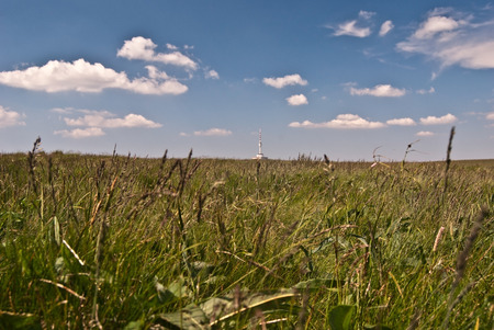 meadow on Vysoka hole hill with Praded hill with TV tower on the background in Jeseniky mountainsの写真素材