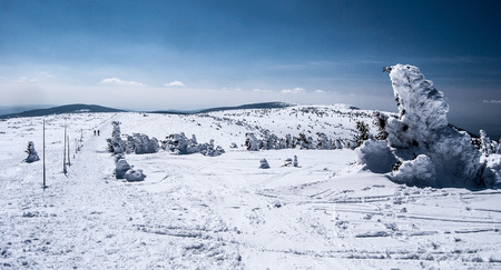 winter Jeseniky mountains bellow Vysoka hole hill with snows, hiking trail, small trees, hills and blue skyの写真素材
