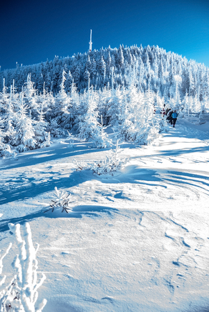 Lysa hora hill in winter Moravskoslezske Beskydy mountains with clear skyの写真素材