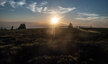 evening mountain meadow with isolated trees on Jeleni hrbe hill above Jeleni studankat in Jeseniky mountains in Czech republic with, sun, sunlight and blue sky with few small cloudsの写真素材