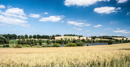nice rural scene with pond, field, meadow, small hills, trees and blue sky with clouds near Zdar nad Sazavou city in Ceskomoravska vrchovina region in Czech republicの写真素材