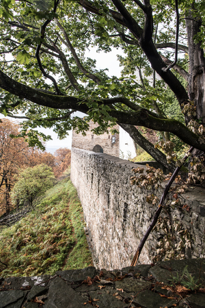stone castle wall with tree, castle tower on the background and colorful trees on Hukvaldy castle ruins in Czech republicの写真素材