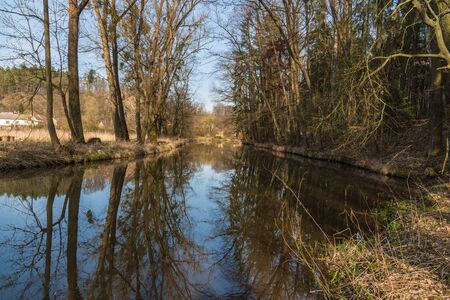 Trebuvka river with trees reflected on water ground near Lostice town in Czech republic during beautiful early spring dayの写真素材