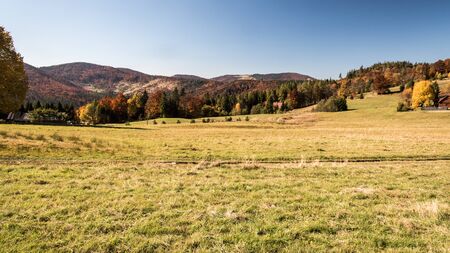 beautiful autumn Beskid Zywiecki mountains near Przegibek in Poland with meadow, colourful trees, hills and clear skyの写真素材