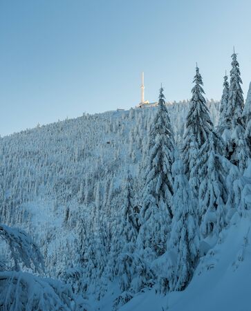 Lysa hora hill in Moravskoslezske Beskydy mountains in Czech republic during winter morning with clear skyの写真素材