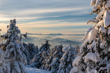 winter mountain scenery bellow Velka Raca hill in Kysucke Beskydy mountains in Slovakia with frozen trees, snow, higher hills above fog level ane blue sky with cloudsの写真素材