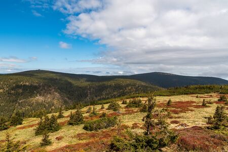 View to Vozka and Keprnik hills from Cervena hora hill above Vresova studanka in springtime Jeseniky mountains in Czech republicの写真素材
