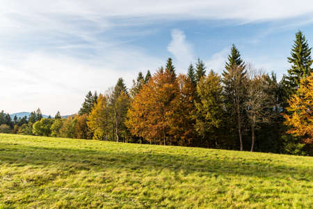 Beautiful autumn scenery with meadow, colorful trees, hill on the background and blue sky in Moravskoslezske Beskydy mountains in Czech republicの写真素材