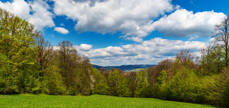 Fresh green springtime meadow surrounded by forest, hills on the background and blue sky with clouds - Bile Karpaty mountains in Czech republicの写真素材