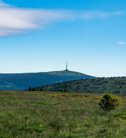 Praded hill from Jeleni hrber hill summit above Jeleni studanka in Jeseniky mountains in Czech republicの写真素材