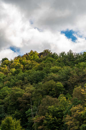 Early autumn deciduous forest above Dyje river in Podyji National park in Czech republic