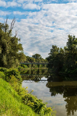Odra river with trees around and Antosovicka lavka bridge in Czech republic during summer afternoon...