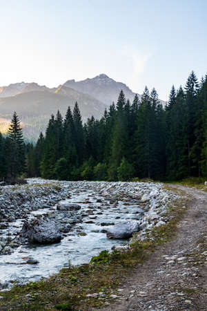 Lower part of Javorova dolina valley with Javorovy potok and peaks on the background in Vysoke Tatry...