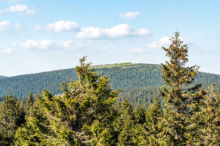 Keprnik from Vozka hill in Jeseniky mountains in Czech republic during beautiful summer eveningの写真素材