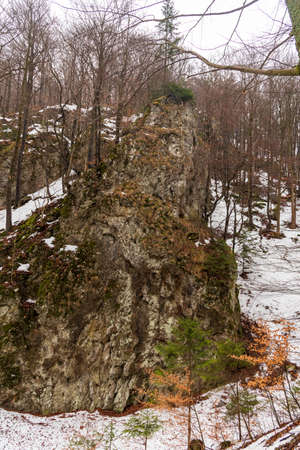 Winter forest with rock formations bellow Cipcie hill in Mala Fatra mountains in Slovakiaの写真素材