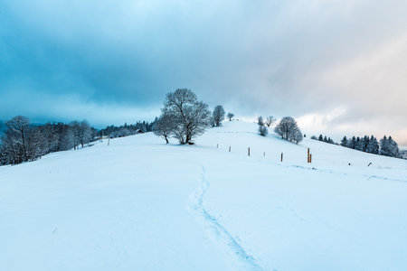 Winter morning on Cienkow near Wisla resort in Beskid Slaski mountains in Polandの写真素材