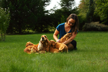 Amazing, newborn and cute red English Cocker Spaniel puppy with its mother detail and a girl. Small and cute red Cocker Spaniel puppy sitting with her mother in the green grass in girls hug, morning sun. Green background.の写真素材