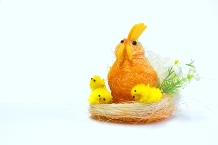 Chicken Family isolated on white の写真素材