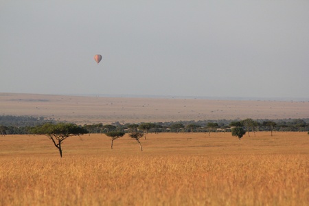 Balloon over savannahの写真素材