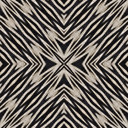 Oriental seamless wallpaper tiles, zebra stripes patternの写真素材