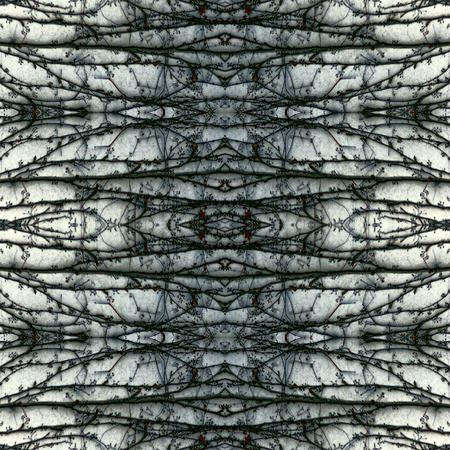 Kaleidoscope abstract background. Seamless pattern. Based on climbing plant on a concrete wall.の写真素材