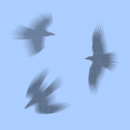 Birds, eagles vector eps 10 illustration. Simply made of black and grey dots. Concept of fast and free movement.のイラスト素材