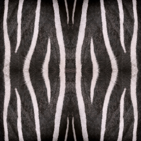 Oriental abstract, seamless wallpaper tiles, zebra stripes pattern or texture for safari background, natural background, wallpaper, rug, design, print, carpet, template, etc.の写真素材