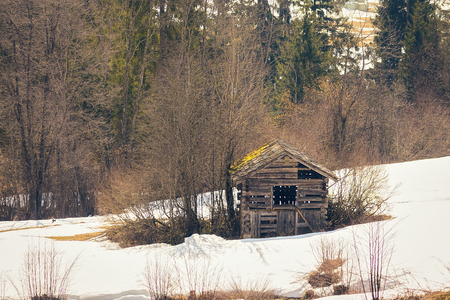 Old mountain cottage, sheep shelter, in Austrian alps in early spring.の写真素材
