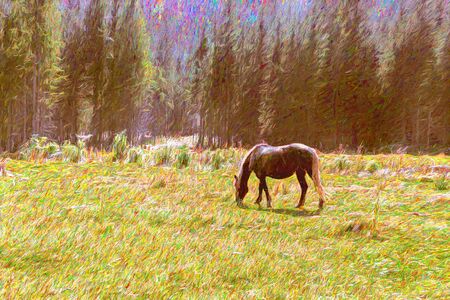 Free horse on a mountain meadow artwork painting, wildlife conceptの写真素材