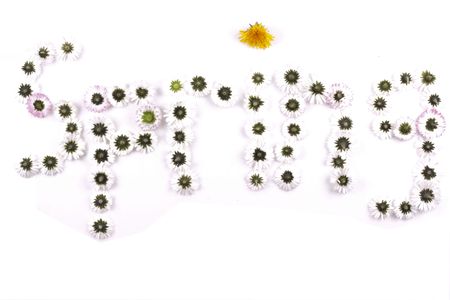 springの写真素材