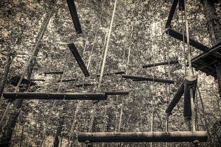 climbing garden ladderの写真素材