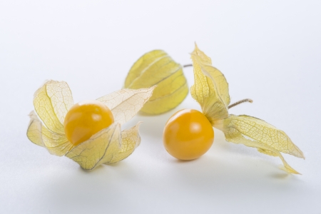 three ripe physalis on white backgroundの写真素材