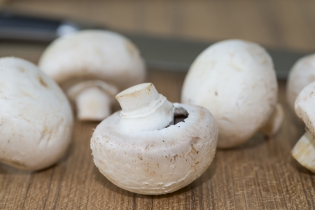 Fresh Agaricus bisporus mushroomsの写真素材