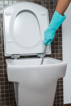 Person wearing a turquoise rubber glove cleaning under the rim of a toilet bowl with a toilet brush to eradicate germs and bacteria during household cleaningの写真素材